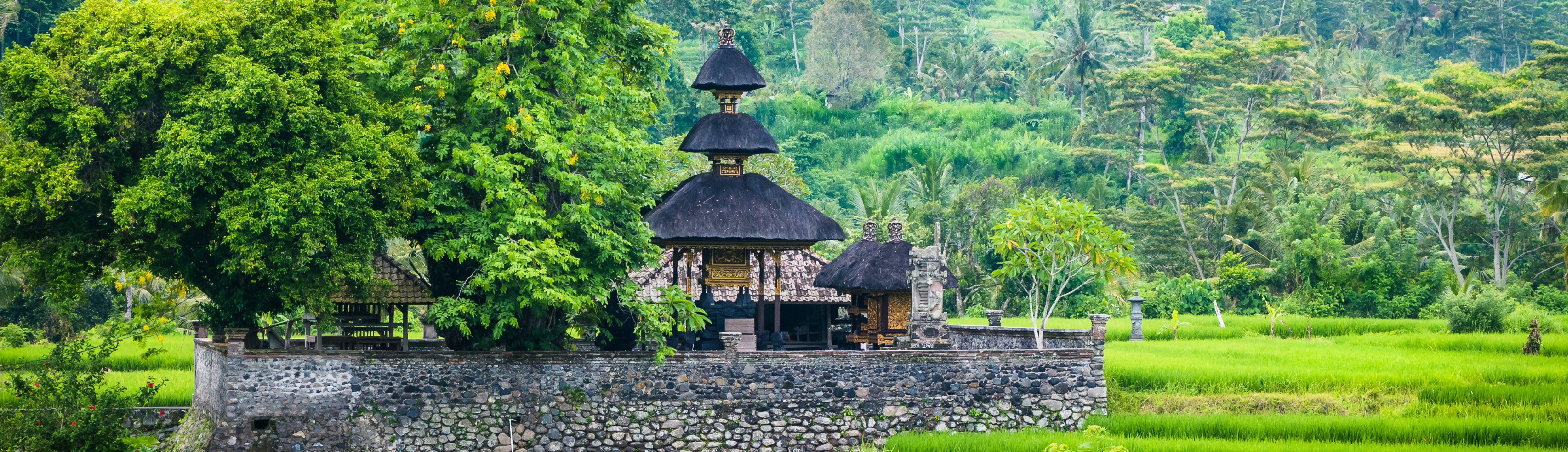 bali