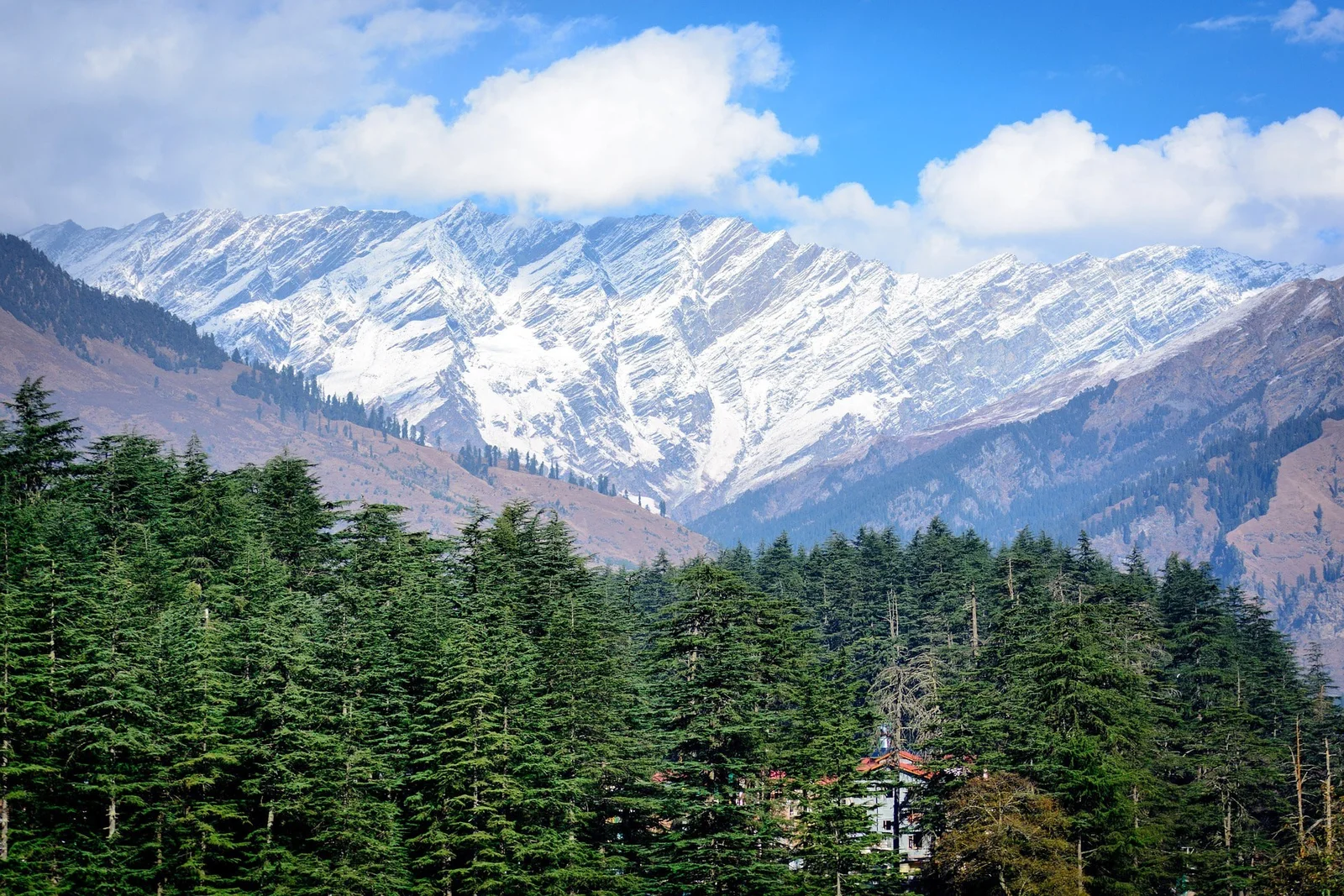 SHIMLA MANALI CHANDIGARH